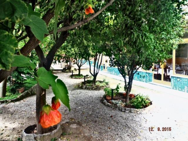 Hotel Villa Flora Bogliasco Luaran gambar